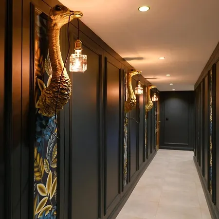 Secret Jacuzzi - Parking Prive Gratuit Bed & Breakfast Mons