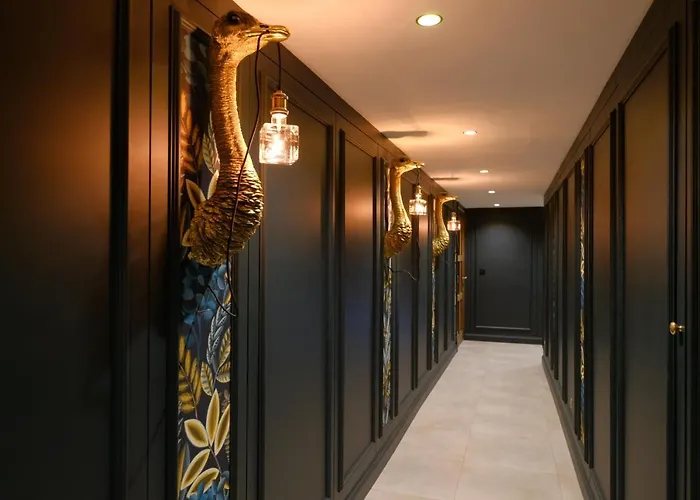 Secret Jacuzzi - Parking Privé Gratuit Bed and breakfast Mons